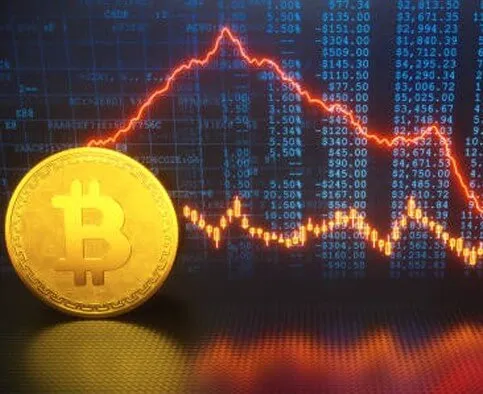 TrueNorth Capital - Seize control of your trading activities with TrueNorth Capital.