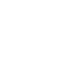 TrueNorth Capital - Improved Protection through Cryptographic Techniques